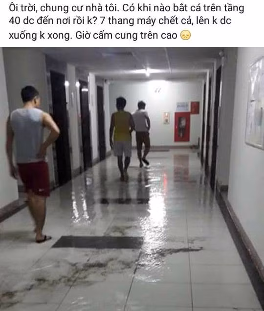 Cư dân ở khu đô thị Kim Văn - Kim Lũ (Hà Nội) phản ánh. Ảnh chụp FB