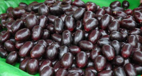 5. Trái trâm: Loại trái cây "miền quê" này có thể giúp kiểm soát nồng độ đường trong máu, và nó cũng có thể tăng cường hệ miễn dịch, phòng chống viêm nhiễm. Trái trâm tốt nhất nên ăn ngay sau khi mua.