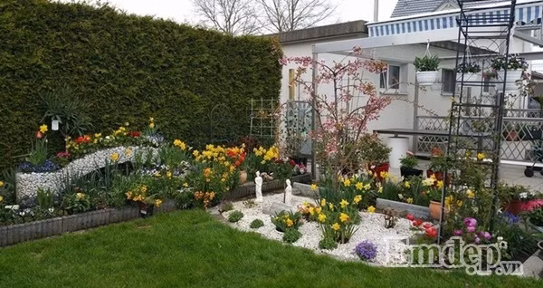 Khoảng không gian trước nhà được chị thiết kế nhiều giỏ dạ yến thảo rực rỡ.