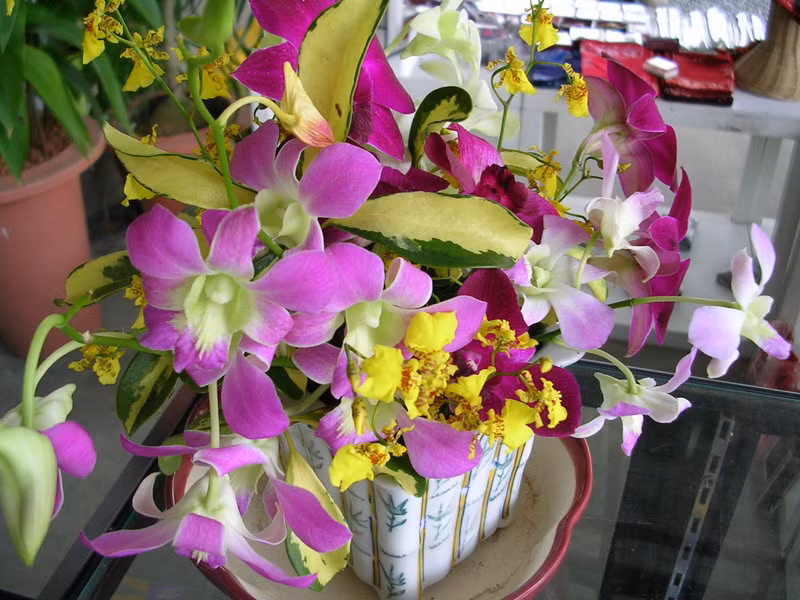 Hoa phong lan: Hoa phong lan đẹp, bền được nhiều người mua cắm ban thờ, nhưng dâng Phật không nên dùng phong lan, vì có nhiều màu rực rỡ, chữ “phong” gần nghĩa với chữ phong tình, phóng túng. 