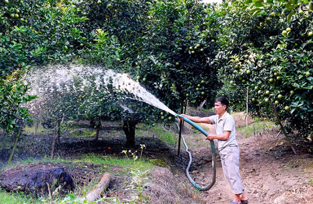 Gap ong chu vuon cam Vinh, Da Lat “ep da no hoa“-Hinh-2