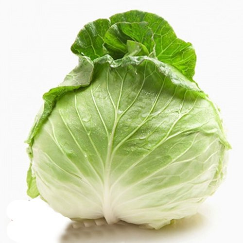 Điều đặc biệt là vitamin A và P trong cải bắp kết hợp với nhau làm cho thành mạch máu bền vững hơn. Trong cải bắp còn có các chất chống ung thư: Sulforaphane, phenethyl isothiocyanate và Indol-33 carbinol. Bắp cải vừa là một nguồn thực phẩm bổ sung chất xơ, vừa có rất nhiều vitamin, axít amin và khoáng chất rất tốt cho xương như mangan, sắt và magiê.