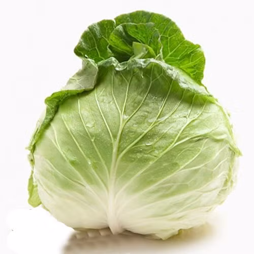 Điều đặc biệt là vitamin A và P trong cải bắp kết hợp với nhau làm cho thành mạch máu bền vững hơn. Trong cải bắp còn có các chất chống ung thư: Sulforaphane, phenethyl isothiocyanate và Indol-33 carbinol. Bắp cải vừa là một nguồn thực phẩm bổ sung chất xơ, vừa có rất nhiều vitamin, axít amin và khoáng chất rất tốt cho xương như mangan, sắt và magiê.