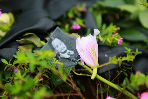 Cánh hoa ban rụng xuống, lặng lẽ đáp cạnh nơi an nghỉ của người nhạc sĩ tài ba nhưng đoản mệnh.