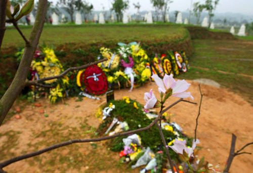 Bên cạnh mộ Trần Lập, người yêu quý anh đã trồng một cây hoa ban trắng, loài hoa mà lúc còn sống anh vô cùng yêu thích.