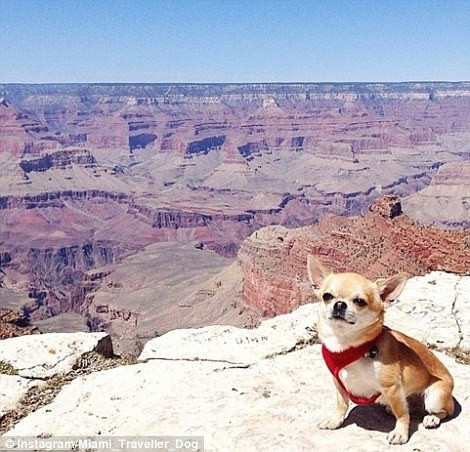 Miami chụp hình ở Grand Canyon.