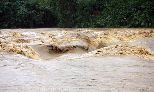 Ảnh minh họa. (Nguồn: Tạ Văn Toàn/TTXVN)