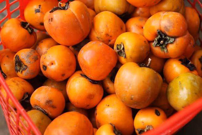 Khảo sát một số vựa thu mua trái cây tại Đà Lạt, hiện giá hồng tại vườn dao động từ 8.000-10.000 đồng/kg, cao hơn gần 3.000 đồng/kg so với cùng kỳ năm trước.