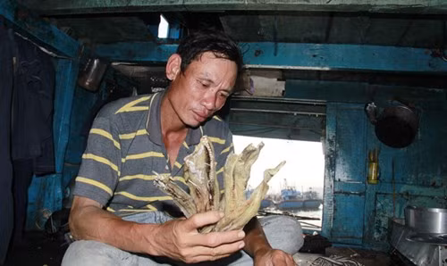 Tat nien tren tau ca-Hinh-2