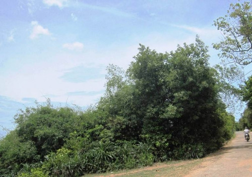 Nghè Ná nằm dưới chân khu rừng Cấm, ngay trước đường tới bến đò ngang qua Bắc sông Gianh