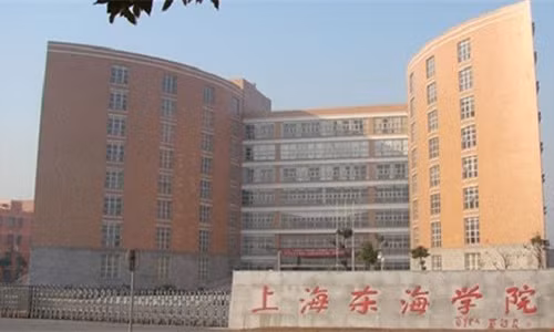 Ky quai hien tuong hang loat sinh vien bi “quy doi mang“