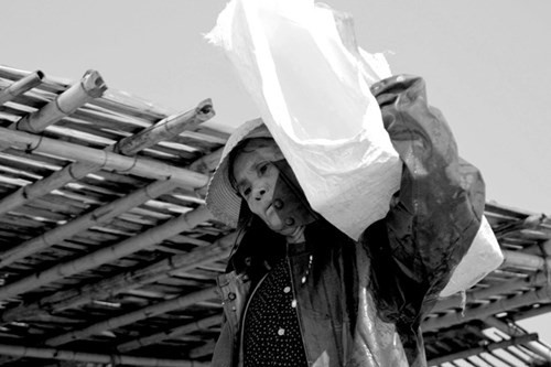 Bà Bùi Thị Vượng (60 tuổi, ở xóm Thắng Lộc, xã Ngư Lộc) là một trong những người lớn tuổi nhất tại đây. Chồng của góa phụ này mất cách đây 28 năm do chìm tàu trên biển. Hơn 30 năm qua, ngoài cào ngao, mò tôm cá ở sông, bà còn sống bằng nghề phu vác đá. “Dù thu nhập không cao nhưng ổn định. Bằng số tiền này, tôi tích góp nuôi 4 đứa con nên người”, bà tâm sự.