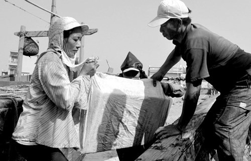 Công việc nặng nhọc này luôn rình rập đầy mối nguy hiểm. “Việc bị các con hàu sắc lẽm cứa, đá trơn tuột rớt phải chân là chuyện thường. Người không may bị đá rớt trúng chân bầm tím, đau gân có khi phải nghỉ hàng tháng trời”, chị Nguyễn Thị Mão (42 tuổi) cho hay.