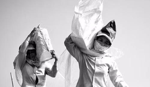 Những người phụ nữ này trong độ tuổi 40 đến 60. Chồng của họ là những ngư dân bị sóng bão nhấn chìm trên biển. Gạt đi nỗi đau, họ hàng ngày gồng gánh mưu sinh với nghề vác đá thuê để nuôi con.