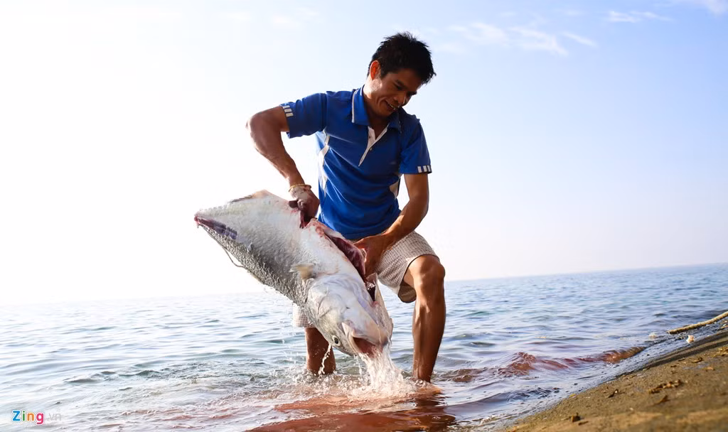 Nhiều lần may mắn, các anh gặp cá lớn bơi vào rạn san hô, sau đó nước rút bị mắc kẹt là có bữa ăn thịnh soạn hoặc phơi khô để dành mùa mưa bão.