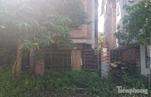 Nhiều ngôi biệt thự được chủ rào cổng lại.