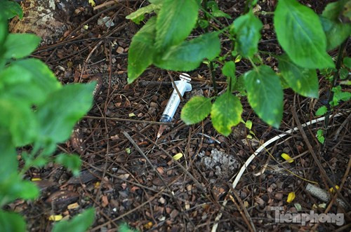 Kim tiêm vứt rải rác xung quanh những ngôi biệt thự tiền tỉ mà không được dọn dẹp hay đậy nắp lại.