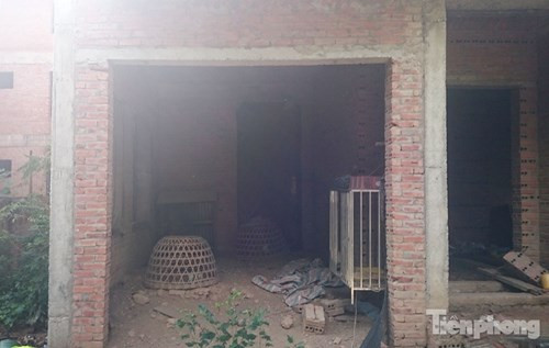 Bên trong một ngôi biệt thự thành nơi... nuôi gà.