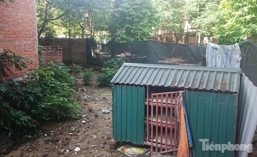 Do chưa có người ở nên những ngôi biệt thự này bị tận dụng làm chỗ nuôi gà.