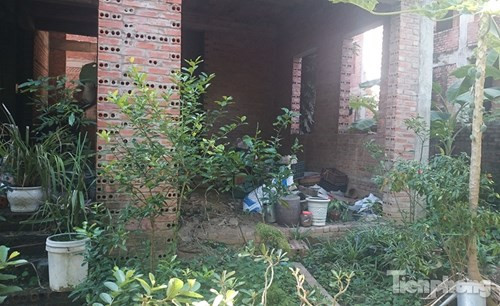 Một số ngôi biệt thự trở thành nơi 'tá túc' của những người vô gia cư.