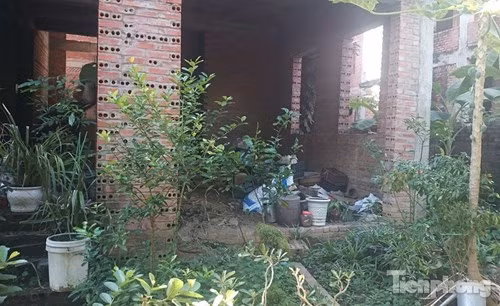 Một số ngôi biệt thự trở thành nơi 'tá túc' của những người vô gia cư.