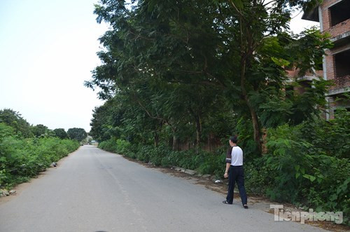 Con đường vắng người, cỏ mọc um tùm dẫn vào khu biệt thự.