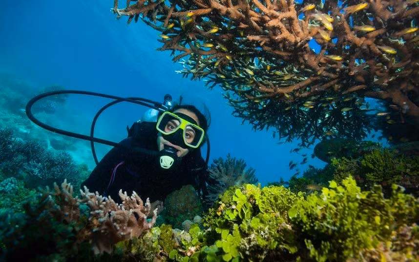 2. Lặn ở rạn san hô Great Barrier, Australia: Đây là cấu trúc sống lớn nhất thế giới, một thiên đường tuyệt diệu cho động vật biển, trải dài hơn 2.250 km ngoài khơi Australia. Theo kết quả nghiên cứu, lượng san hô ở trải nghiệm du lịch này đã giảm hơn 50% trong 3 thập kỷ qua. Với biến đổi khí hậu, bão tố và quyết định cho đổ bùn cát nạo vét gần đó của chính phủ, nhiều nhà khoa học dự đoán nơi này sẽ mất đi sự trù phú trong một khoảng thời gian không xa.