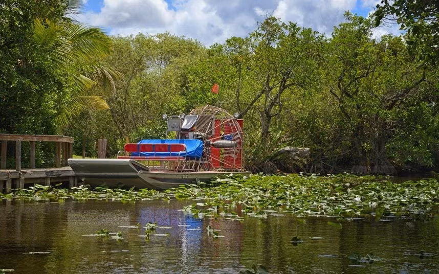 5. Khám phá đầm lầy Everglades, Florida, Mỹ: Everglades là một đầm lầy rộng lớn với hệ động thực vật phong phú, trong đó có hơn 350 loài chim. Tuy nhiên, vùng đất này đang nằm trong danh sách bị đe dọa của UNESCO do ô nhiễm, khiến môi trường sống bị phá hủy và lượng thủy sinh giảm mạnh.