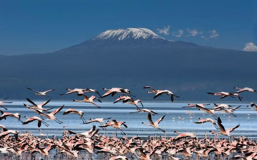 1. Chạm vào tuyết của Kilimanjaro, Tanzania: Tới năm 2011, hơn 85% lượng băng trên đỉnh “Nóc nhà châu Phi” đã tan chảy, và phần còn lại cũng sẽ biến mất trong thập kỷ tới. Chinh phục ngọn núi cao nhất châu Phi không phải chuyện dễ, nhưng du khách sẽ sớm không còn được chiêm ngưỡng khung cảnh tuyết phủ độc đáo trên đỉnh Kilimanjaro.