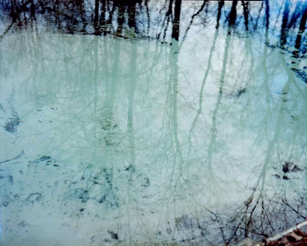 Volga, con sông dài nhất châu Âu, chảy qua khu vực này. Hiện có hơn 700 hồ, ao, đầm lầy trong phạm vi diện tích 100 km vuông của cộng hòa Mari El.