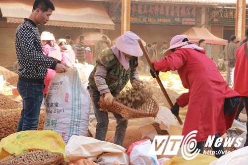 Điều ngạc nhiên nhất, là ở Việt Nam, tam thất bắc lại được bán với giá rất rẻ, thậm chí còn rẻ hơn ở chợ buôn Văn Sơn rất nhiều. Ở chợ Ninh Hiệp, thậm chí tam thất khô được bán với giá vài trăm ngàn/kg. Loại đắt lắm thì trên dưới 2 triệu đồng. Trong khi công vận chuyển, qua nhiều đầu mối mới đến tay người tiêu dùng, mà giá lại rẻ hơn, thì rất khó hiểu. Theo một số nguồn tin, thì loại rẻ tiền bán ở Việt Nam, hoặc vùng giáp biên, có thể là tam thất non, dược tính kém bị loại. Nguy hiểm hơn, có thể là rác dược liệu. Người ta đã chiết hết dinh dưỡng từ củ tam thất tươi, rồi tẩm hóa chất, hương liệu, sau đó sấy khô bán sang Việt Nam, mới có giá rẻ như thế.