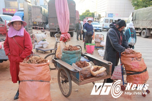 Ngay cổng chợ là Trung tâm triển lãm tam thất. Trong chợ, những dãy nhà liền kề xây dựng cao 4-5 tầng. Tất cả các nhà đều bán tam thất. Xen kẽ mỗi dãy nhà lại là một ‘quảng trường’, là nơi bày bán tam thất chất đống. Ở ven đường, những chiếc xe tải nhỏ chở tam thất tươi dừng đỗ, những người nông dân ngồi vỉa hè bán như bán hoa quả ở Việt Nam.