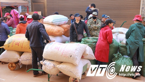 Ở các sạp hàng, thông thường chỉ bày mẫu để giới thiệu sản phẩm. Củ to nhỏ được phân loại và giá cả cũng phụ thuộc vào độ to nhỏ của củ tam thất.