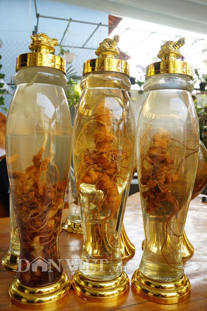 Ba bình sâm Ngọc Linh được anh Linh cho là “Phúc - Lộc - Thọ”.