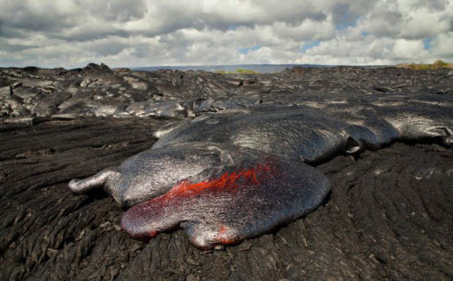 Bãi biển cát đen trên đảo Kilauea, thuộc quần đảo Hawaii nằm cạnh một trong những núi lửa nguy hiểm nhất thế giới. Núi lửa trên đảo Kilauea hoạt động liên tục từ năm 1983 đến nay, phun trào dung nham nóng xuống biển. Quần đảo Hawaii cũng chứng kiến 102 vụ cá mập tấn công từ năm 1828 đến nay, trong đó 8 vụ gây chết người.