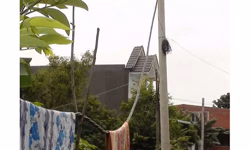 300 ho dan than troi vi nhieu nam mua dien gia cat co