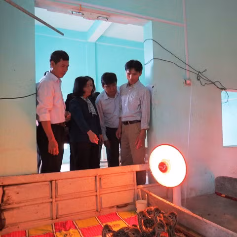 Tuyet chieu nuoi da dieu kiem tien ty moi nam-Hinh-2