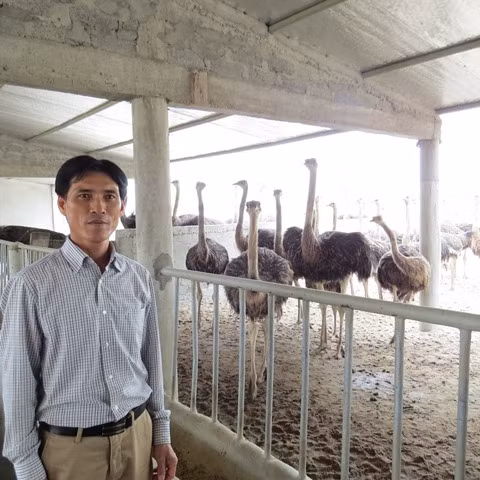 Tuyet chieu nuoi da dieu kiem tien ty moi nam