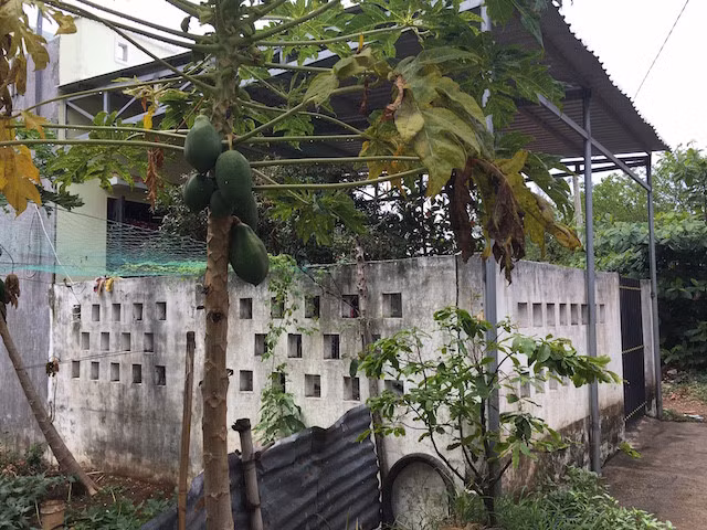 Thuc hu dong co cua vu cuop ngan hang tai Tra Vinh-Hinh-4