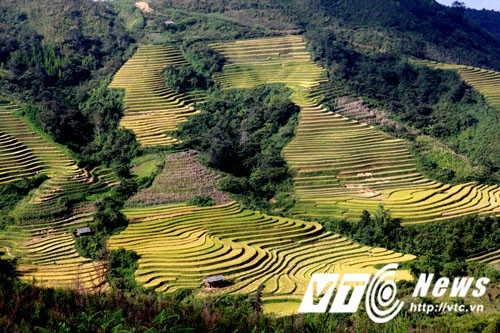 Điểm nhấn của bản người Mông tuyệt đẹp này là thác nước hình trái tim nằm sâu trong rừng. Thác nước cũng là biểu tượng của dân bản, nên mọi thứ ở bản đều lấy ý tưởng từ trái tim, kể cả chiếc bàn uống trà, nghỉ chân giữa rừng.