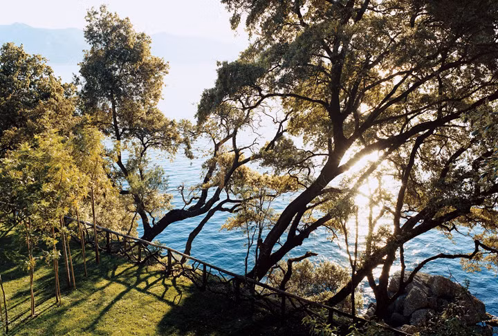 Đặc biệt là ánh sáng phản chiếu từ mặt biển, xuyên qua những tán cây như những viên kim cương sáng lấp lánh tạo ra những khoảnh khắc tuyệt vời khi được ngắm nhìn từ biệt thự.