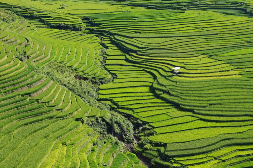 Anh Aloha Nguyen cùng bạn bè thuê xe máy của người dân rồi rong ruổi khắp các cung đường, bản làng, đồi núi, ruộng vườn ở Mù Cang Chải để “săn” những tấm hình đẹp ở nơi đây.