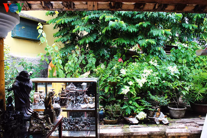 Khu vườn nhỏ của gia đình với cây khế hơn 100 tuổi. Ngày xưa, mỗi đứa trẻ được sinh ra, ông bà cắt nhau rốn và chôn xuống dưới lòng đất với quan niệm con cháu trong gia đình sẽ luôn hòa thuận và yêu thương lẫn nhau, có đi đâu xa thì luôn nhớ về ông bà tổ tiên.