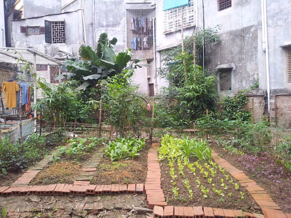 Khu vườn rộng được quy hoạch gọn gàng.