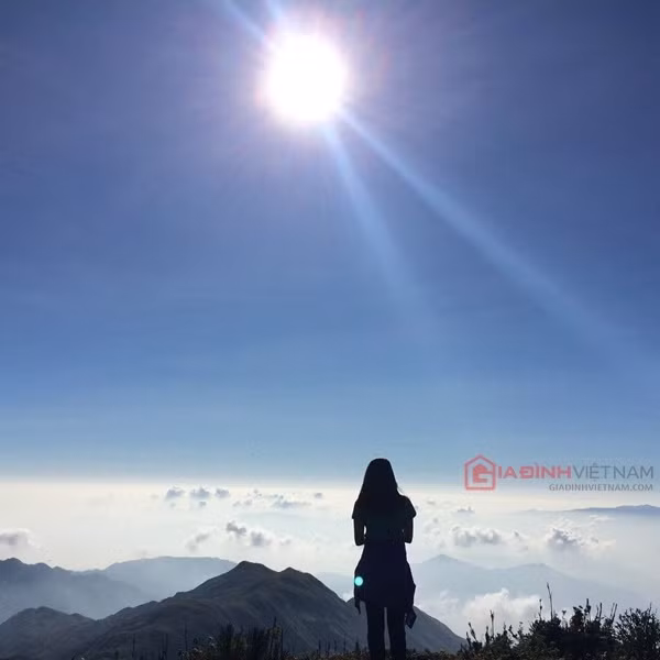 Tuy nhiên vẻ đẹp của mây ngàn, gió núi của đỉnh cao này lại rất cuốn hút những tay máy thích săn ảnh và dân phượt mê khám phá. Theo nhiều dân phượt, thời điểm tuyệt vời nhất để ngắm mây trờ trên đỉnh Tà Chì Nhù là vào khoảng từ tháng 10 tới tháng 2. Cung đường để leo lên đỉnh thường sẽ mất từ 2-3 ngày. Trên đường leo, bạn có thể bắt gặp những vạt đồi hoa sim, hoa dại, những con suối nhỏ, những đàn gia súc của người dân…