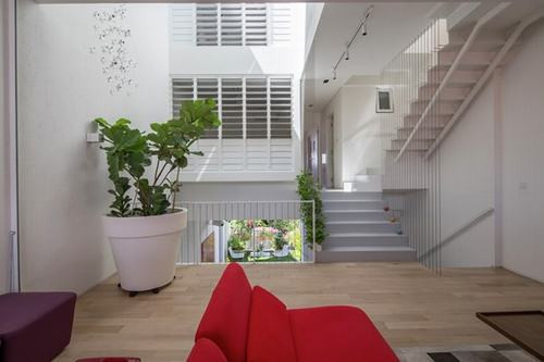 Cây xanh tự nhiên được bố trí hài hòa không gian bên trong và bên ngoài của ngôi nhà.