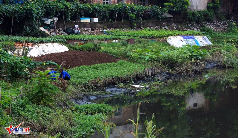 Người dân buộc phải sống chung với ô nhiễm.