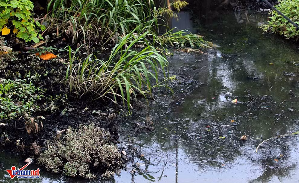 Rác thải tích tụ lại hai mép sông.