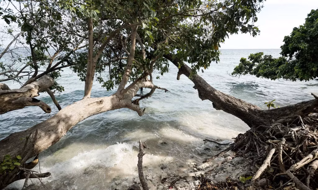 Hòn đảo Naghotano thuộc quần đảo Solomon ở nam Thái Bình Dương có diện tích trên dưới 1 km2, là nơi sinh sống của khoảng 600 cư dân. Dân số ngày một đông trong khi mực nước biển dâng và ăn sâu vào phần đất nổi của Naghotano cũng như nhiều đảo khác trong khu vực khiến vùng đất ven bờ ngày càng bất ổn định.