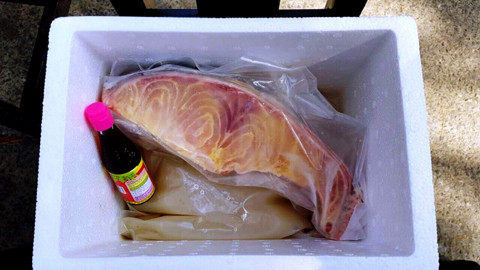 Dan Sai Gon san lung ca 